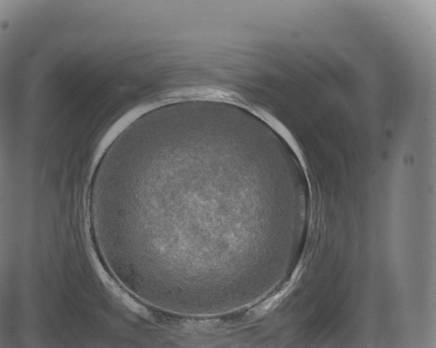 X0000085251389200703091247