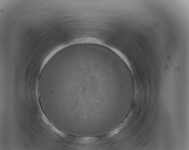 X0000085251390200703091247