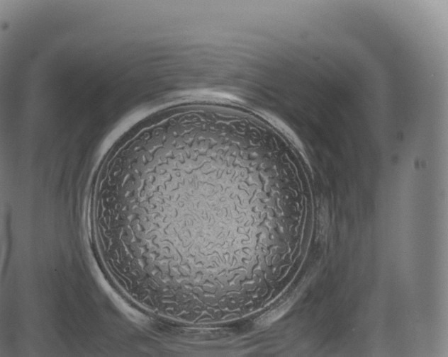 X0000085251391200703091247