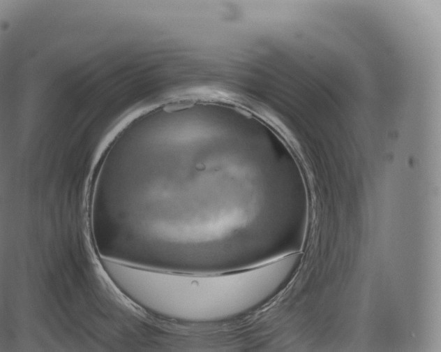 X0000085251392200703091247