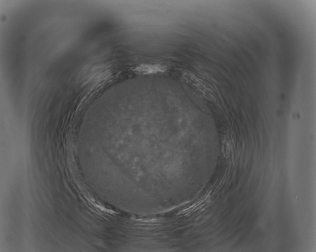 X0000085251393200703091246