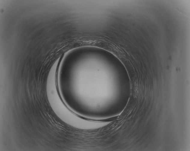 X0000085251394200703091246