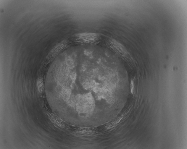 X0000085251395200703091246