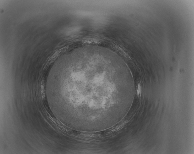 X0000085251396200703091246