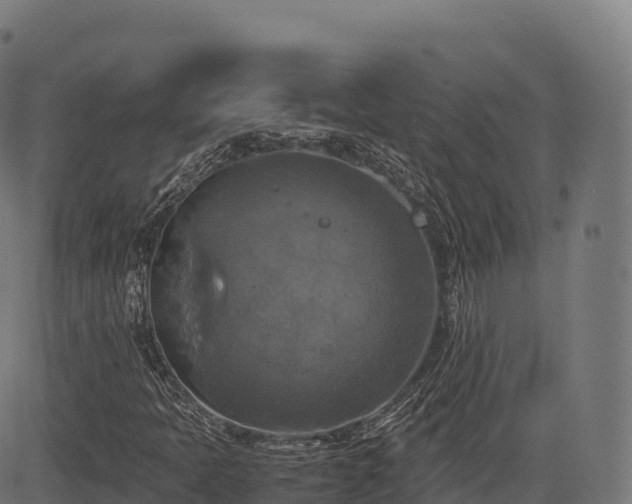 X0000085251397200703091246