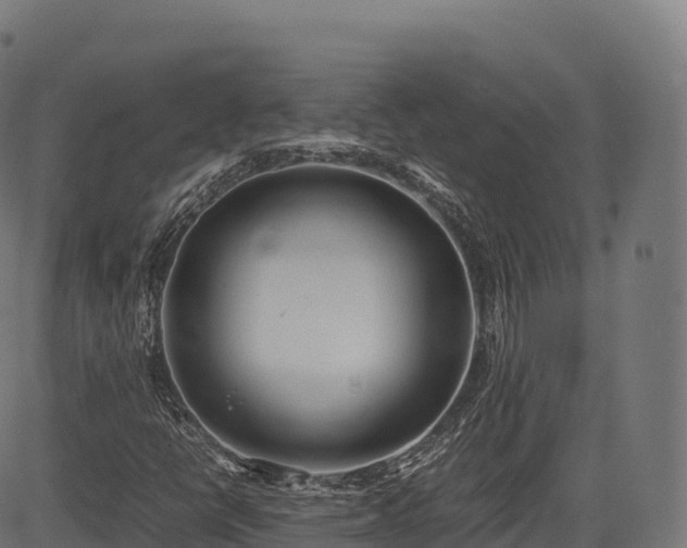 X0000085251398200703091246