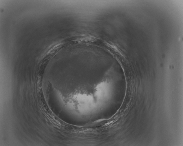 X0000085251399200703091246