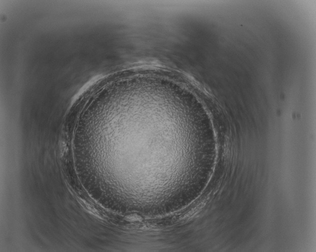 X0000085251400200703091246