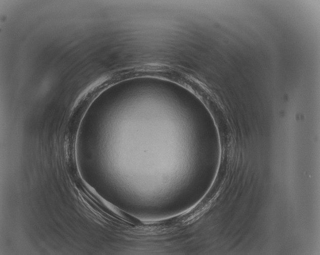 X0000085251402200703091246