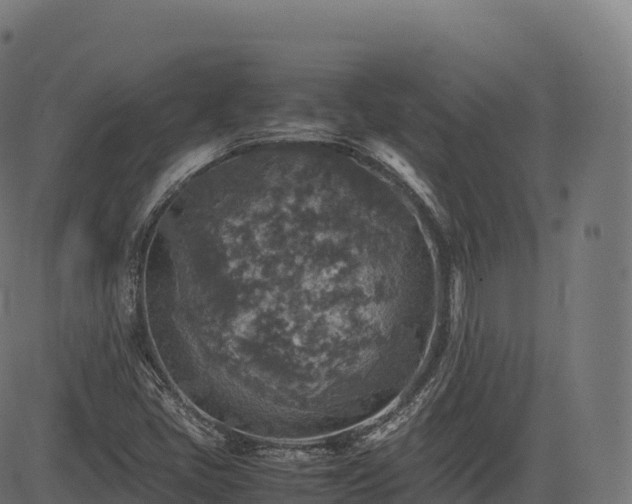 X0000085251405200703091246