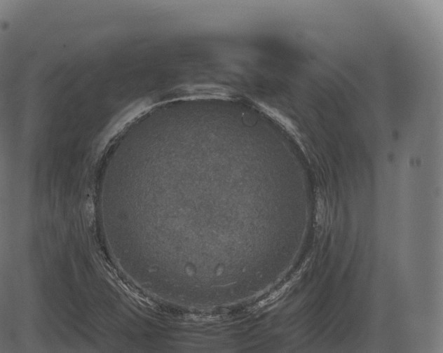 X0000085251407200703091246