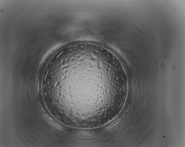 X0000085251408200703091246