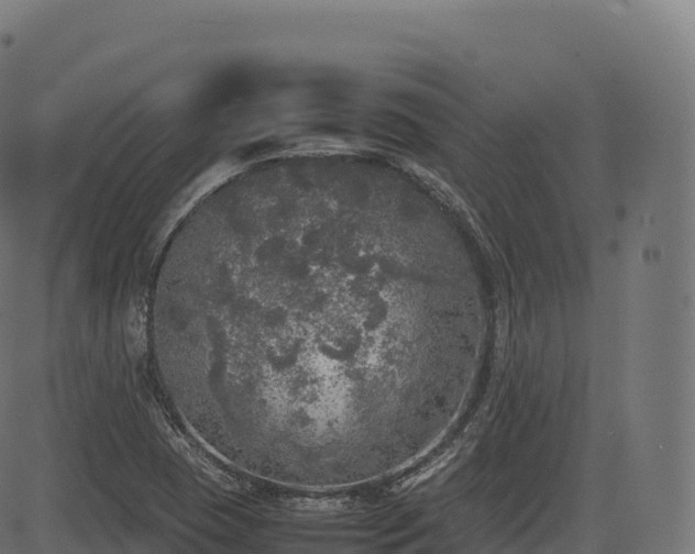 X0000085251409200703091246