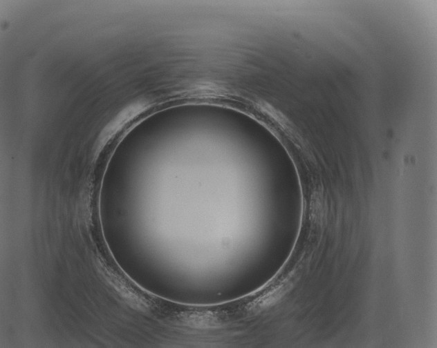 X0000085251410200703091246