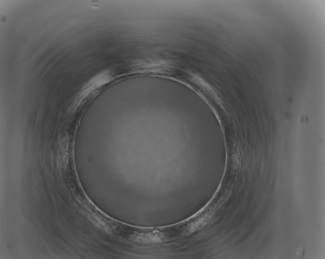 X0000085251411200703091246