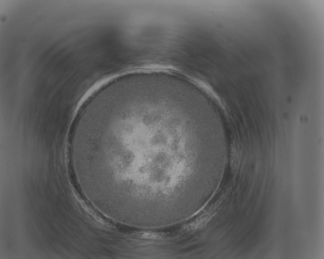 X0000085251412200703091246