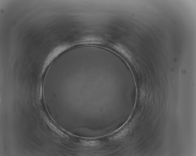 X0000085251413200703091246