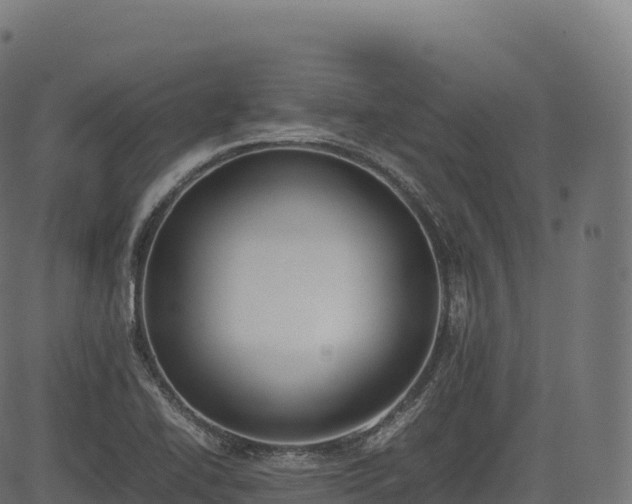 X0000085251414200703091246