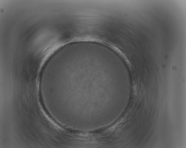 X0000085251416200703091246