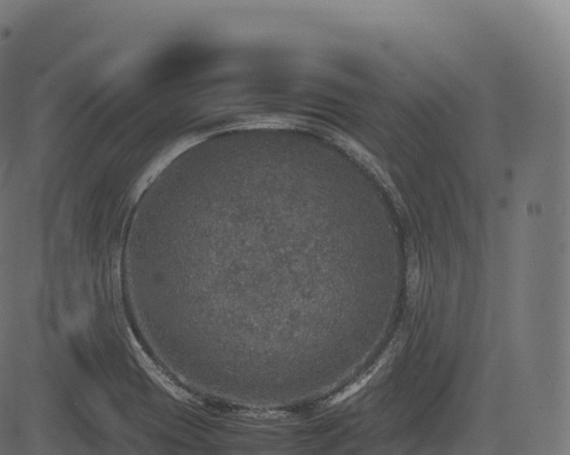 X0000085251417200703091246