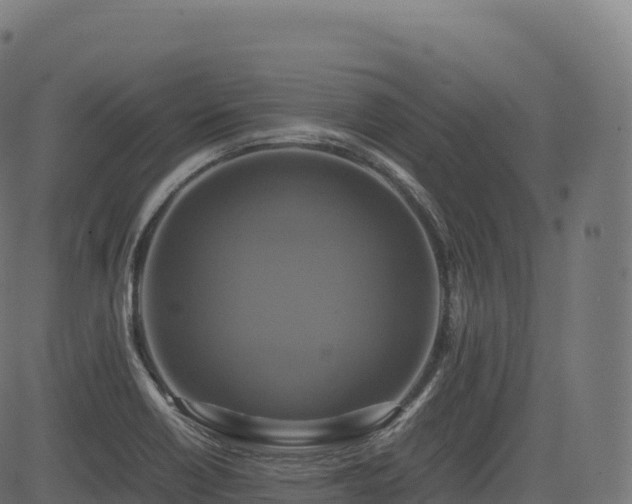 X0000085251418200703091246