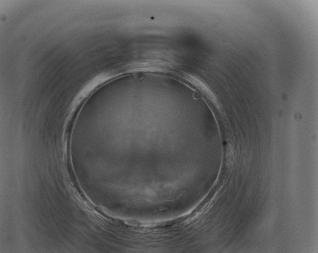 X0000085251419200703091246