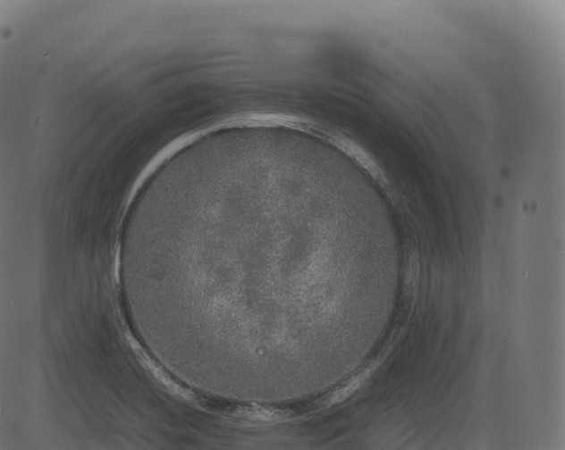 X0000085251420200703091246