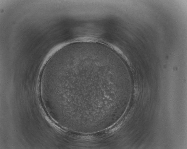 X0000085251421200703091246