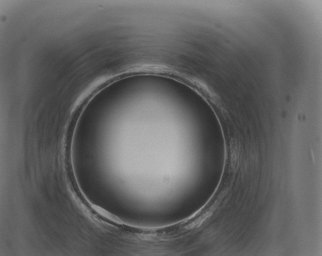 X0000085251422200703091246