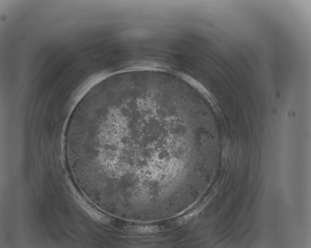 X0000085251423200703091246