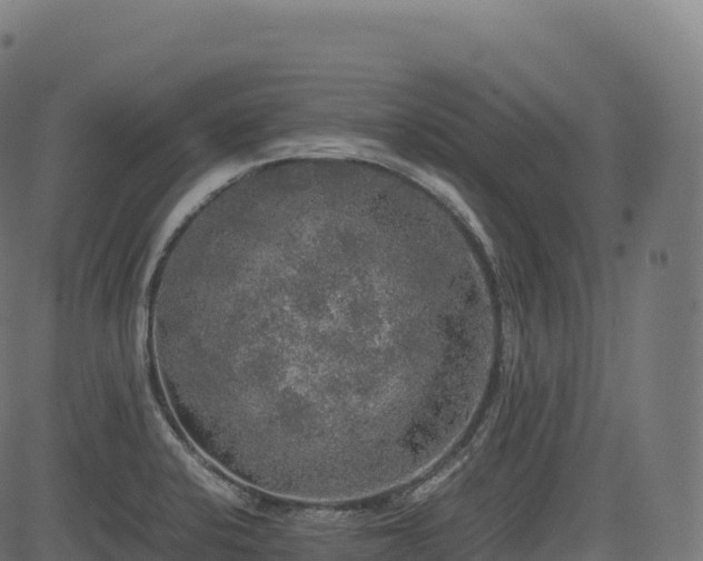 X0000085251424200703091246