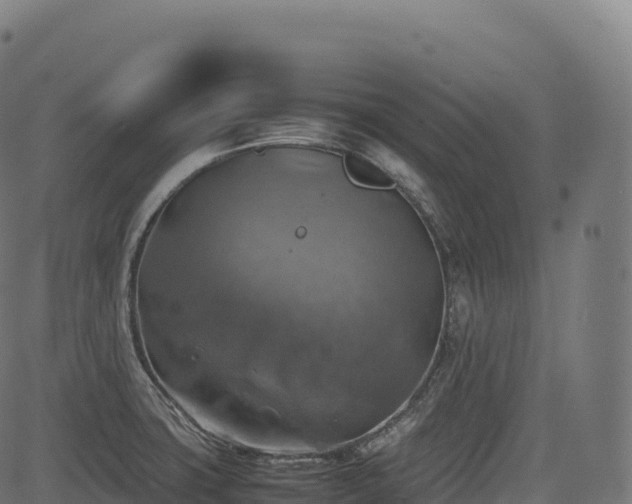 X0000085251427200703091246