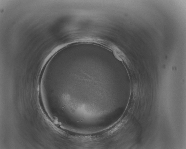 X0000085251428200703091246