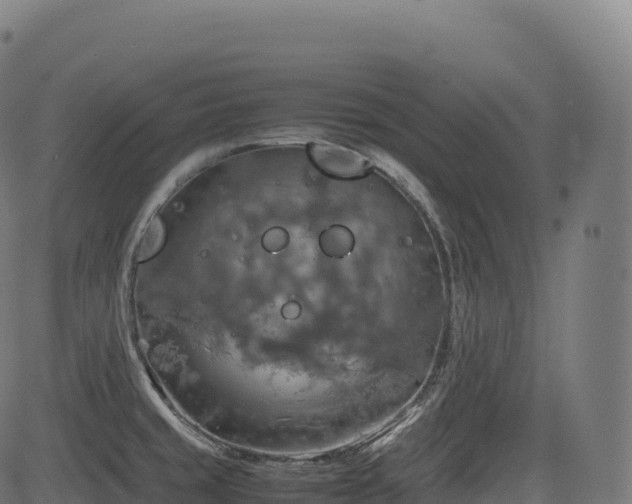 X0000085251429200703091246