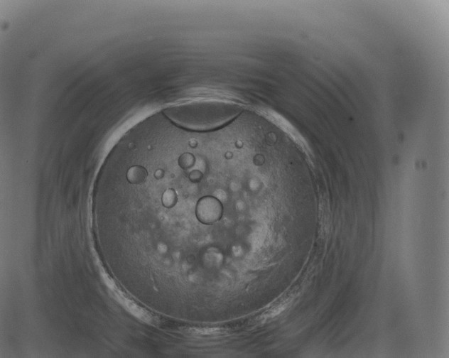 X0000085251431200703091246