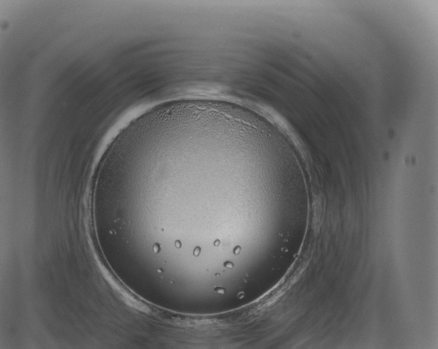 X0000085251432200703091246