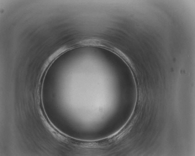 X0000085251434200703091246