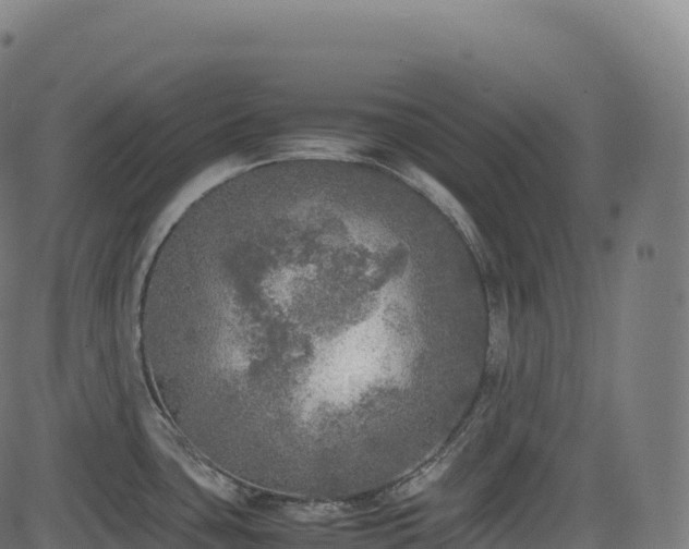 X0000085251435200703091246