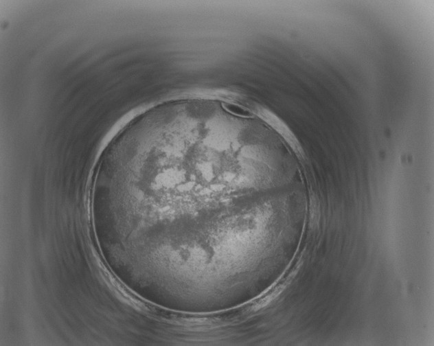 X0000085251436200703091247