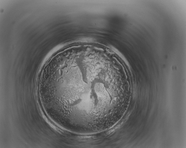 X0000085251437200703091247