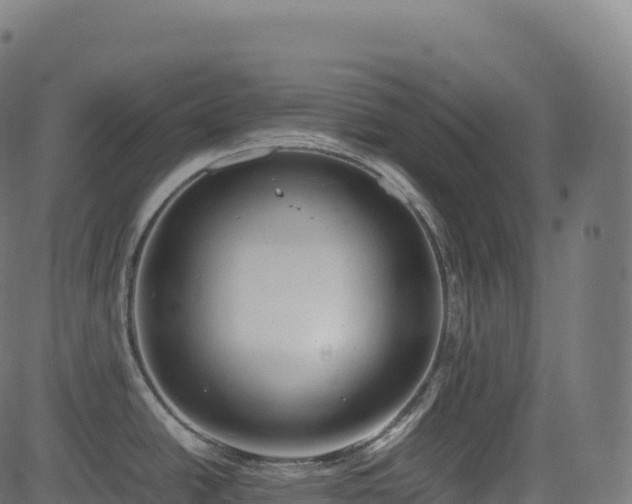 X0000085251438200703091247