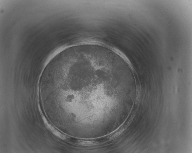 X0000085251439200703091247