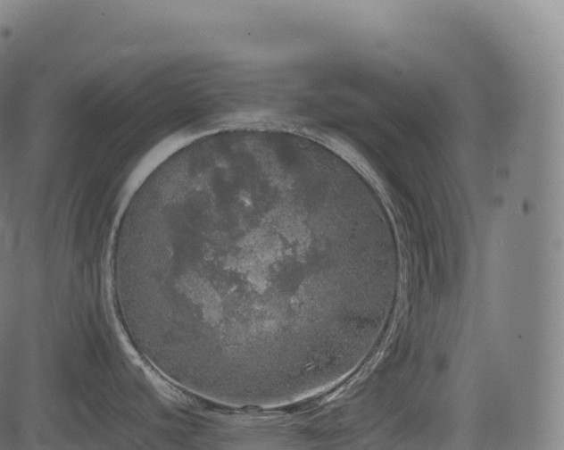 X0000085251440200703091247