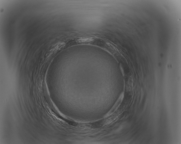 X0000085251441200703091246