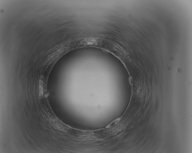 X0000085251442200703091246