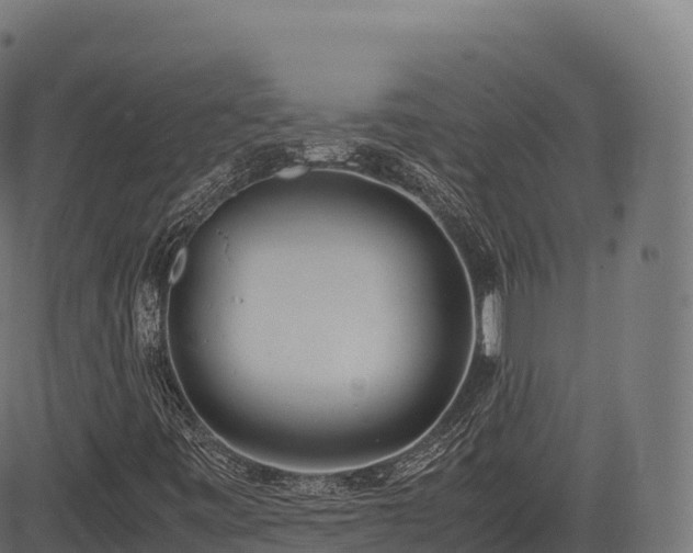 X0000085251443200703091246