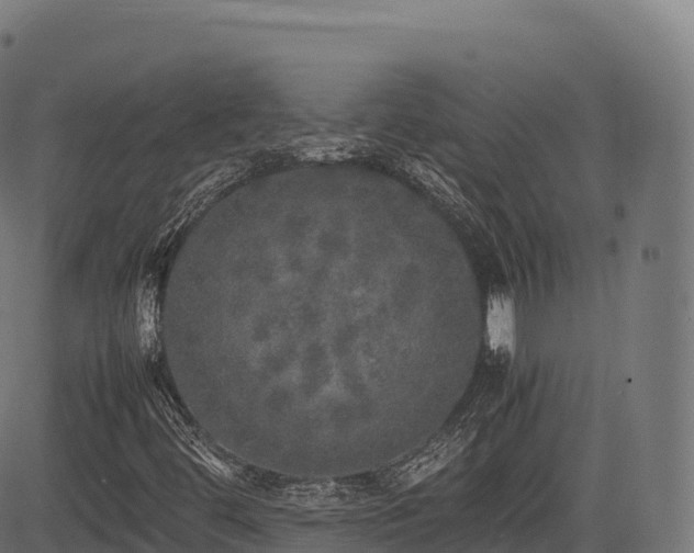 X0000085251444200703091246