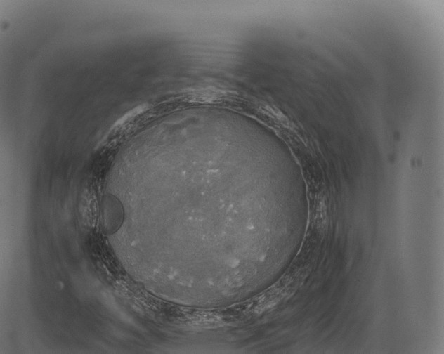 X0000085251446200703091246