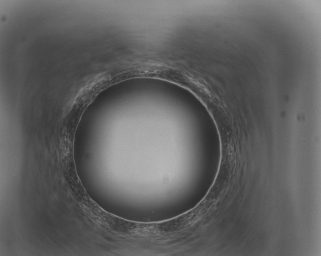 X0000085251447200703091246