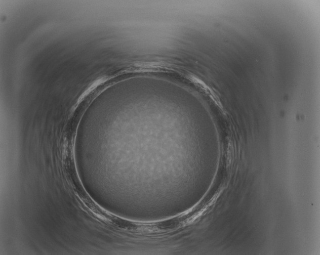 X0000085251449200703091246